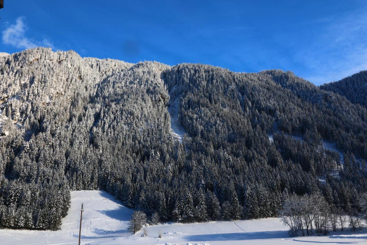 Apart-garni Alpevita 3* Mayrhofen