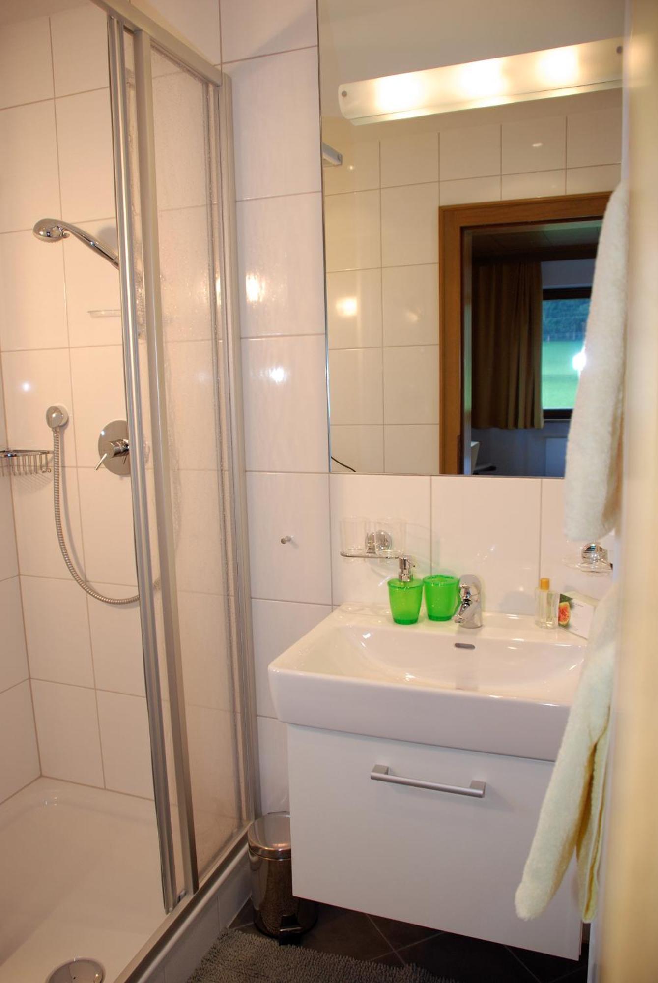 Apart-garni Alpevita 3* Mayrhofen